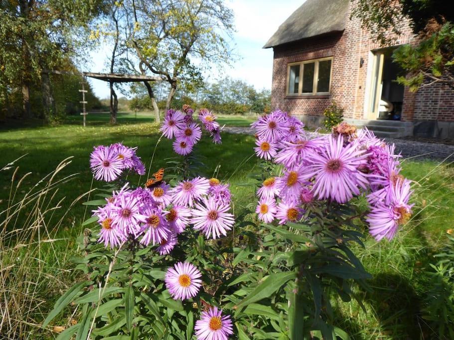 Erholung Auf Dem Land Zwischen Ostsee Und Schlei Stoltebüll Exteriör bild